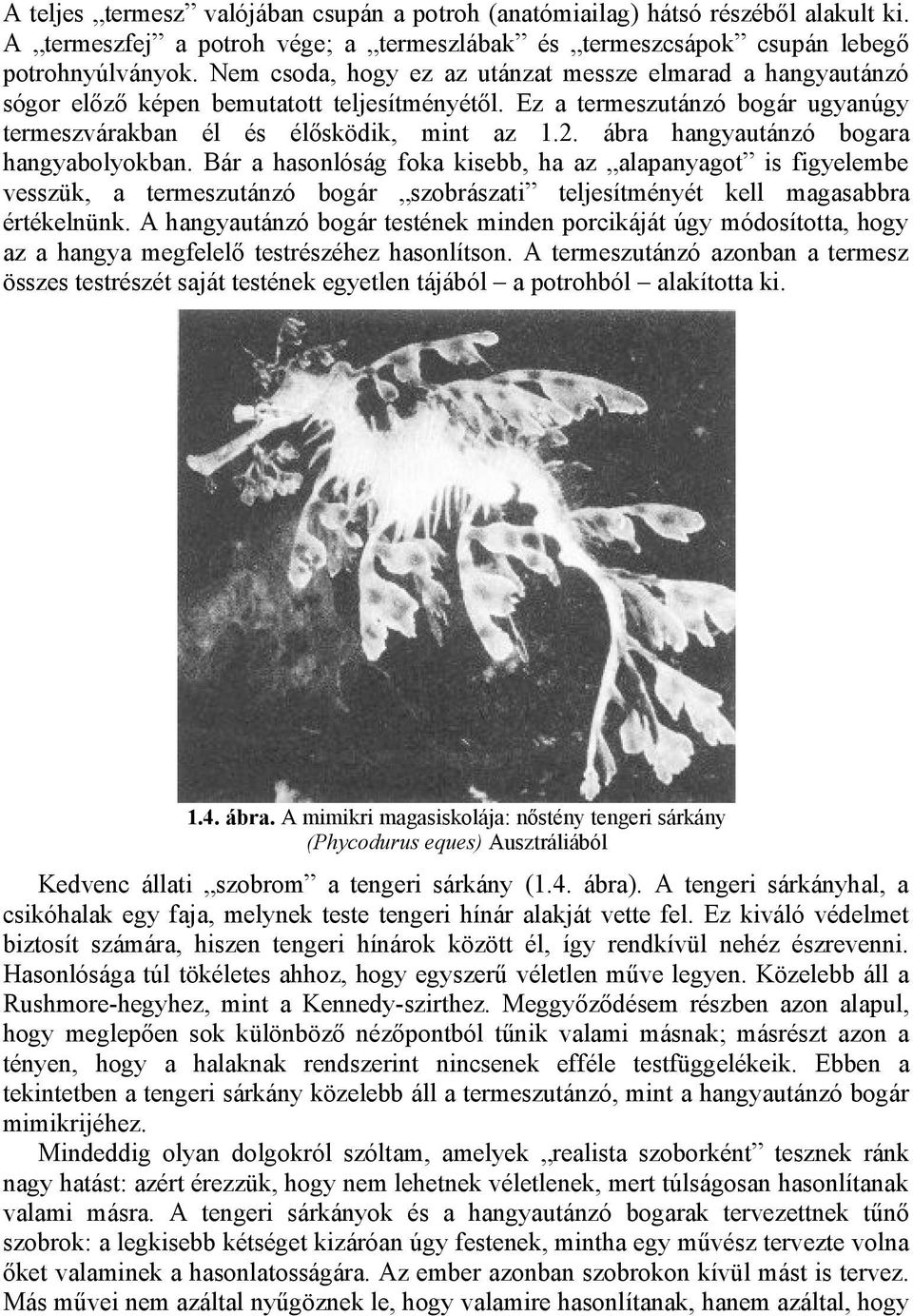 ábra hangyautánzó bogara hangyabolyokban. Bár a hasonlóság foka kisebb, ha az alapanyagot is figyelembe vesszük, a termeszutánzó bogár szobrászati teljesítményét kell magasabbra értékelnünk.