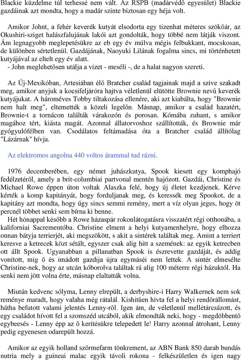 Ám legnagyobb meglepetésükre az eb egy év múlva mégis felbukkant, mocskosan, de különben sértetlenül. Gazdájának, Naoyuki Lilának fogalma sincs, mi történhetett kutyájával az eltelt egy év alatt.