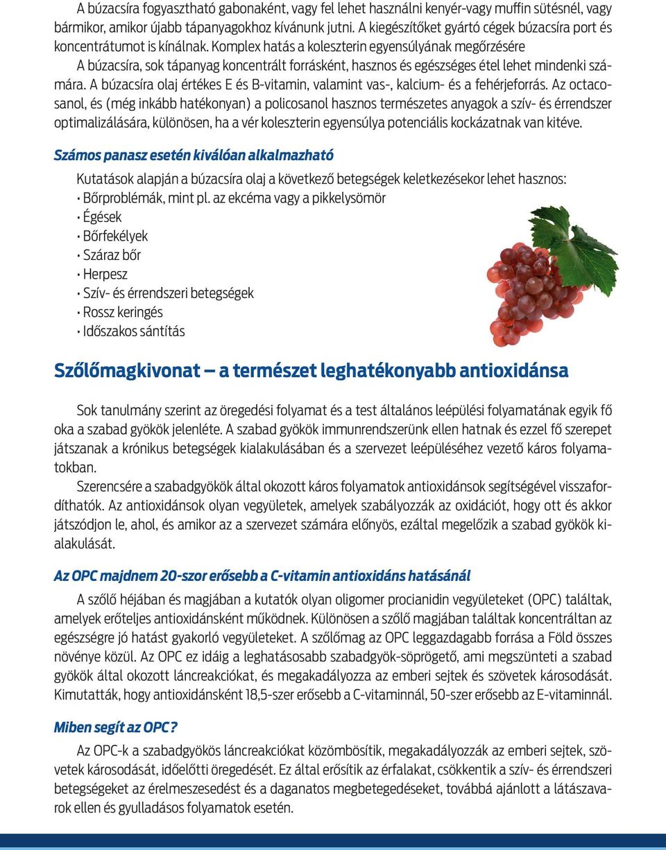 Komplex hata s a koleszterin egyensu lya nak megőrze se re A bu zacsi ra, sok ta panyag koncentra lt forra ske nt, hasznos e s ege szse ges e tel lehet mindenki sza ma ra.