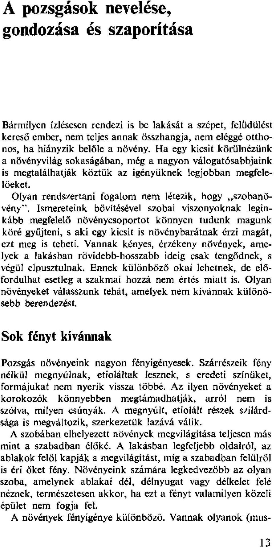 Olyan rendszertani fogalom nem létezik, hogy szobanövény".