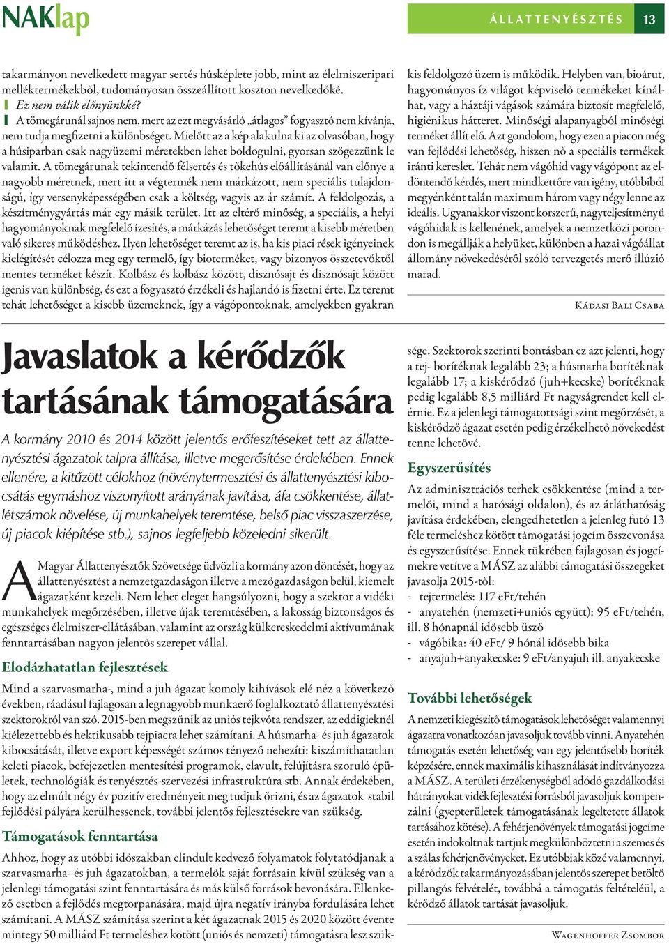 A MÁSZ számítása szerint a két ágazatnak 2015 és 2020 között évente mintegy 50 milliárd Ft termeléshez kötött (uniós és nemzeti) támogatásra lesz szüktakarmányon nevelkedett magyar sertés húsképlete