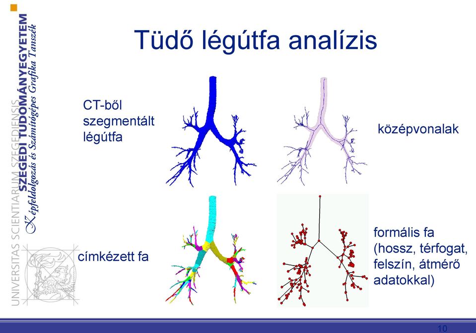 címkézett fa formális fa (hossz,