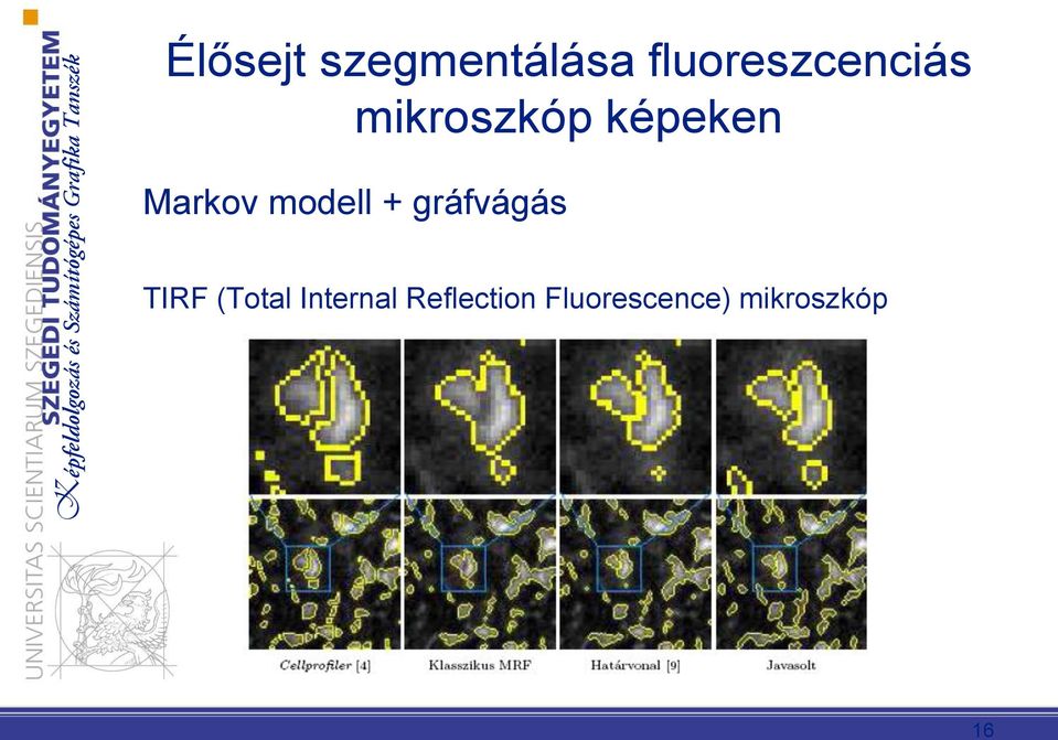 Markov modell + gráfvágás TIRF