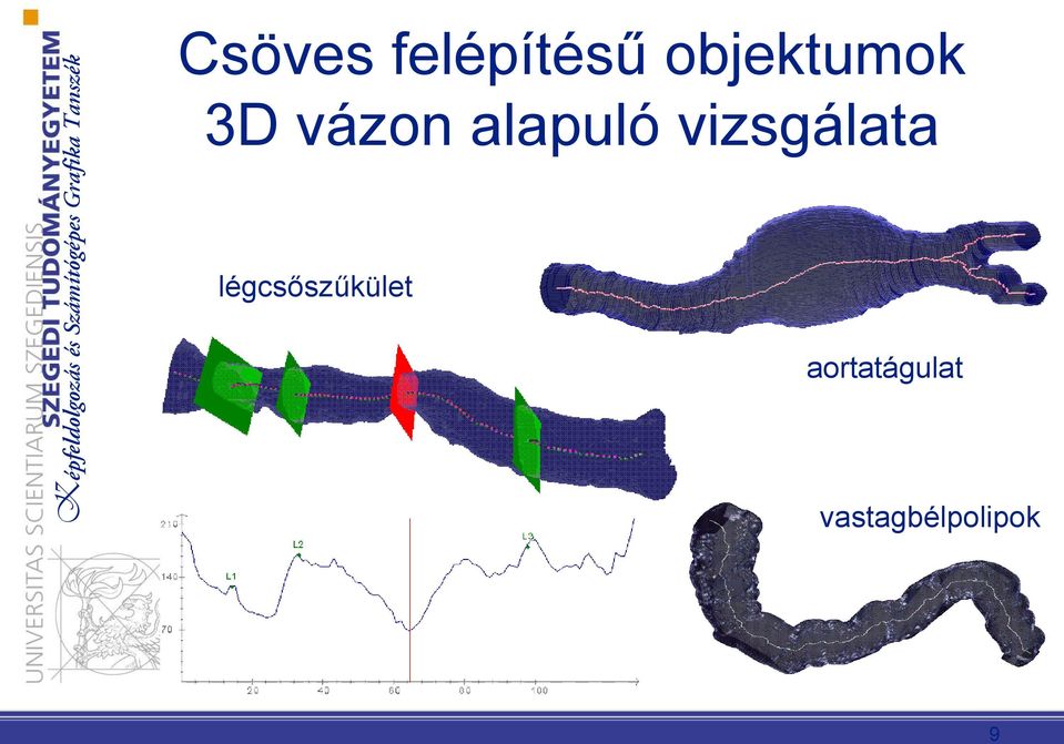 alapuló vizsgálata