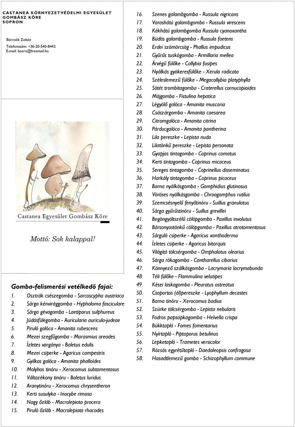 Júdásfülegomba - Auricularia auricula-judeae 5. Piruló galóca - Amanita rubescens 6. Mezei szegfűgomba - Marasmius oreades 7. Ízletes vargánya - Boletus edulis 8.