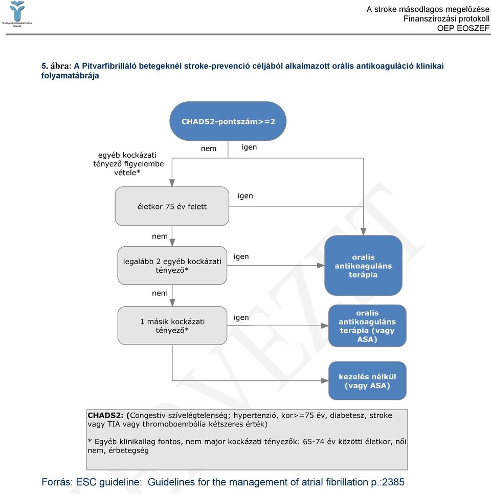 antikoaguláció klinikai folyamatábrája Forrás: ESC