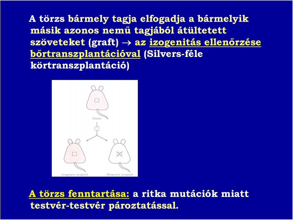 bőrtranszplantációval (Silvers-féle körtranszplantáció) A törzs