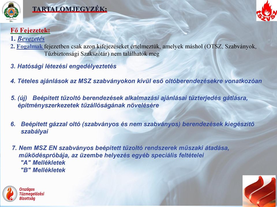 Hatósági létezési engedélyeztetés 4. Tételes ajánlások az MSZ szabványokon kívül eső oltóberendezésekre vonatkozóan 5.