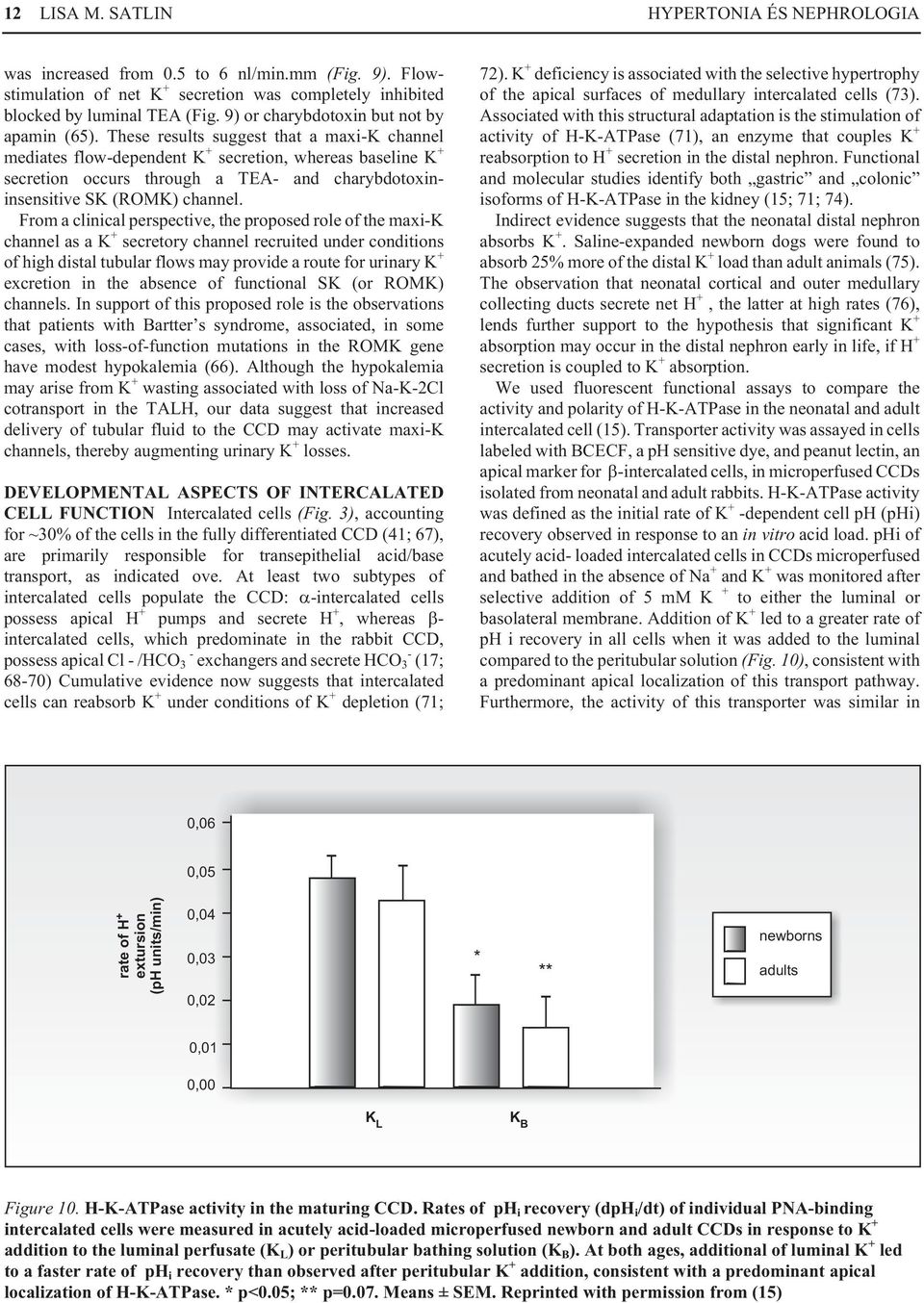 These results suggest that a maxi-k channel mediates flow-dependent K + secretion, whereas baseline K + secretion occurs through a TEA- and charybdotoxininsensitive SK (ROMK) channel.