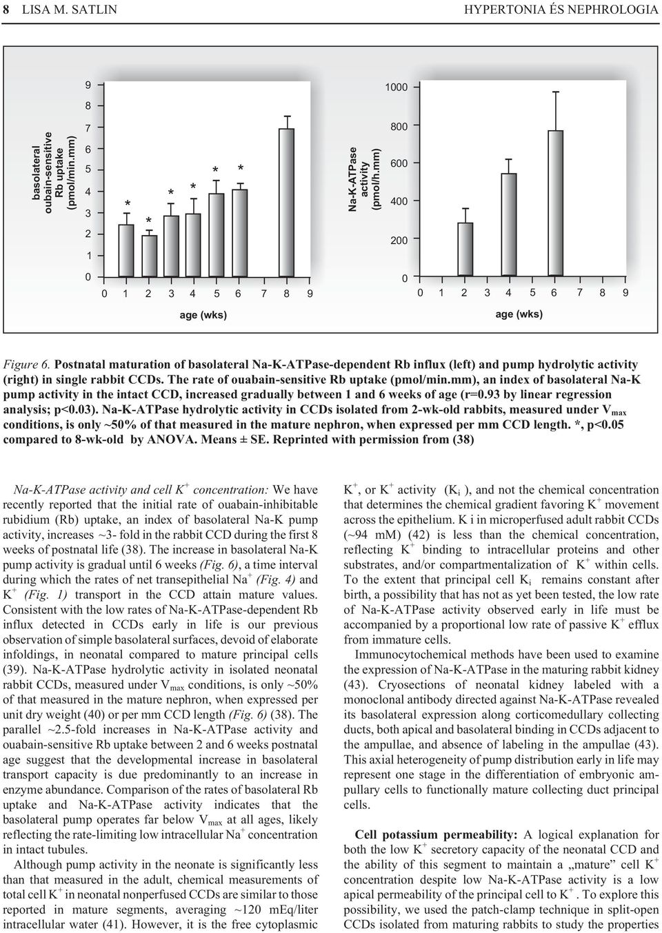 Postnatal maturation of basolateral Na-K-ATPase-dependent Rb influx (left) and pump hydrolytic activity (right) in single rabbit CCDs. The rate of ouabain-sensitive Rb uptake (pmol/min.