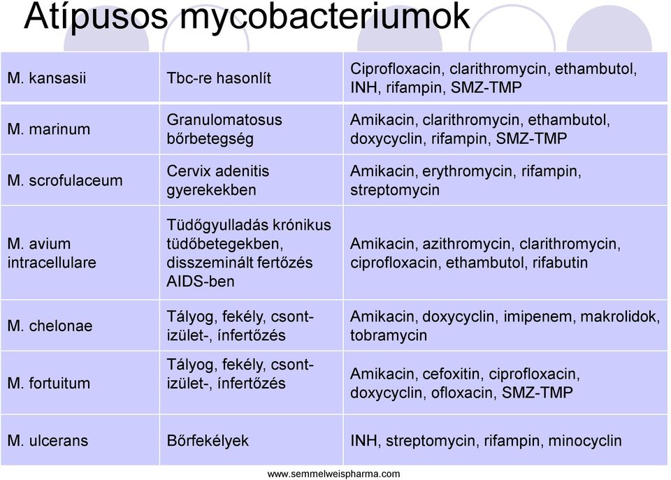 csontizület-, ínfertőzés Amikacin, clarithromycin, ethambutol, doxycyclin, rifampin, SMZ-TMP Amikacin, erythromycin, rifampin, streptomycin Amikacin, azithromycin, clarithromycin, ciprofloxacin,