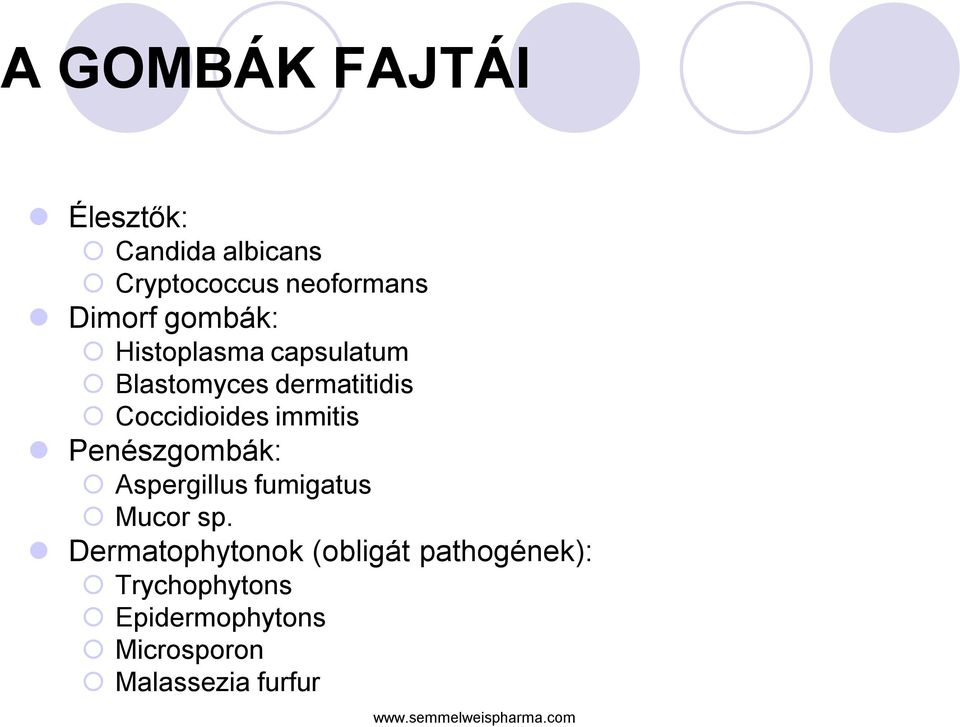 immitis Penészgombák: Aspergillus fumigatus Mucor sp.