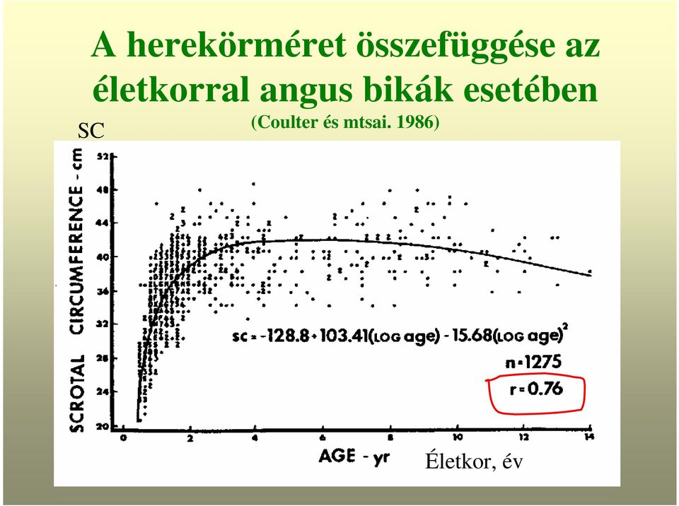 életkorral angus bikák