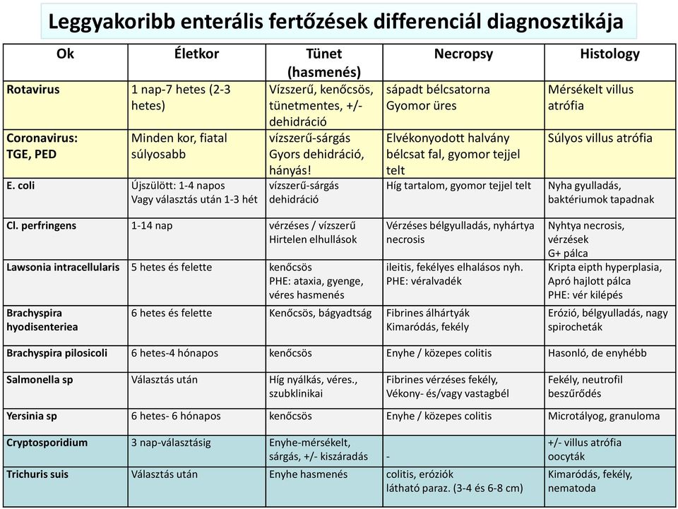 perfringens 1-14 nap vérzéses/ vízszerű Hirtelen elhullások Necropsy sápadt bélcsatorna Gyomor üres Elvékonyodott halvány bélcsat fal, gyomor tejjel telt Histology Mérsékelt villus atrófia Súlyos