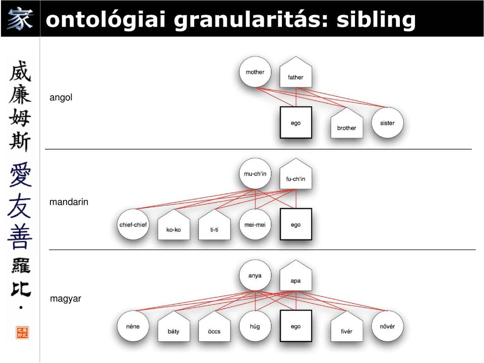 sibling angol