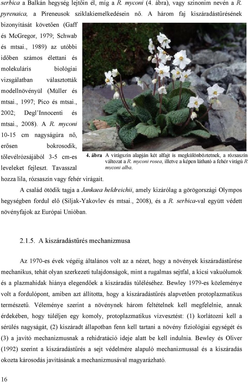 , 1989) az utóbbi időben számos élettani és molekuláris biológiai vizsgálatban választották modellnövényül (Müller és mtsai., 1997; Pico és mtsai., 2002; Degl Innocenti és mtsai., 2008). A R.