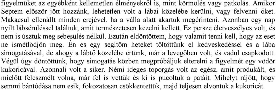 Ez persze életveszélyes volt, és nem is úsztuk meg sebesülés nélkül. Ezután eldöntöttem, hogy valamit tenni kell, hogy az eset ne ismétlődjön meg.