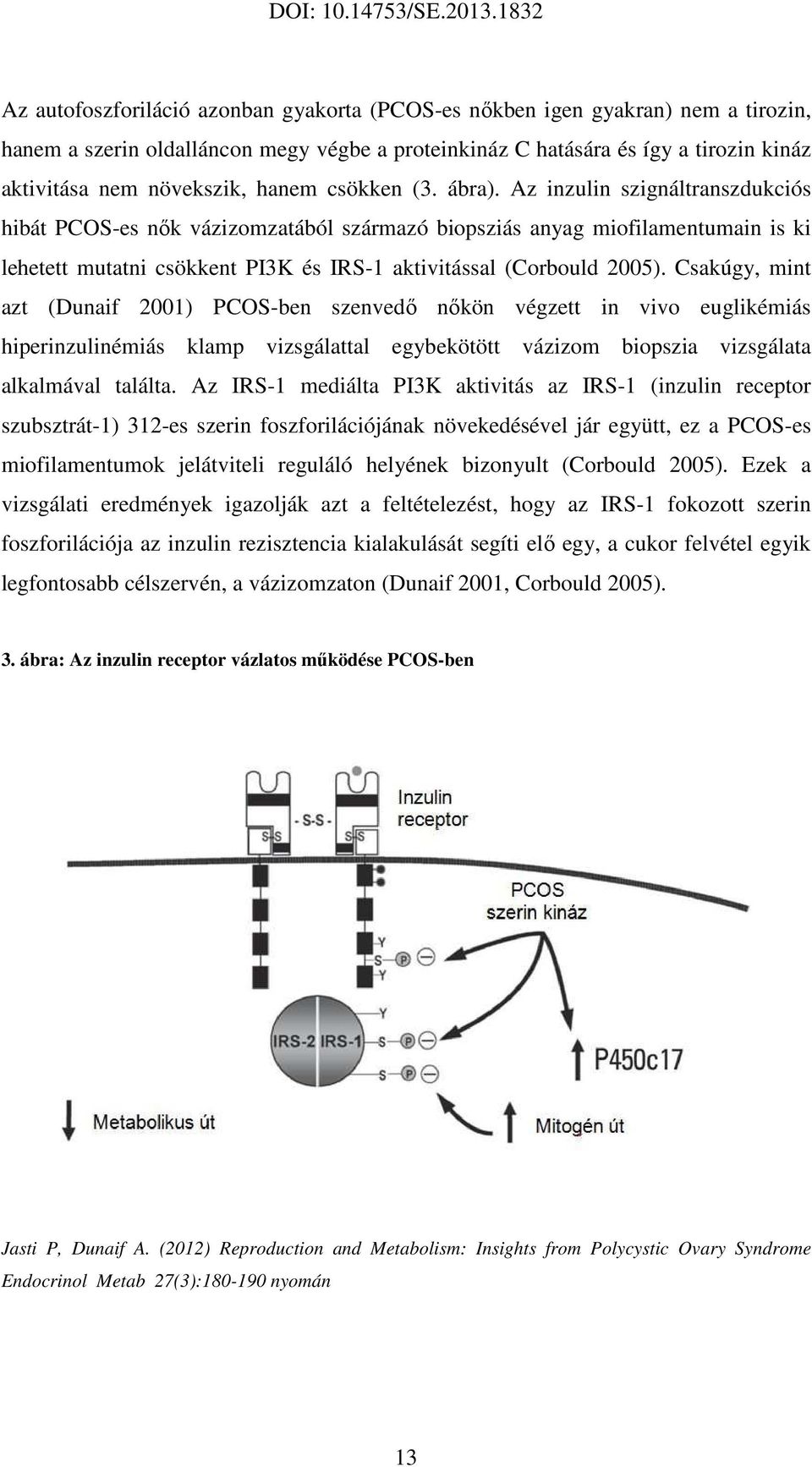 Az inzulin szignáltranszdukciós hibát PCOS-es nők vázizomzatából származó biopsziás anyag miofilamentumain is ki lehetett mutatni csökkent PI3K és IRS-1 aktivitással (Corbould 2005).