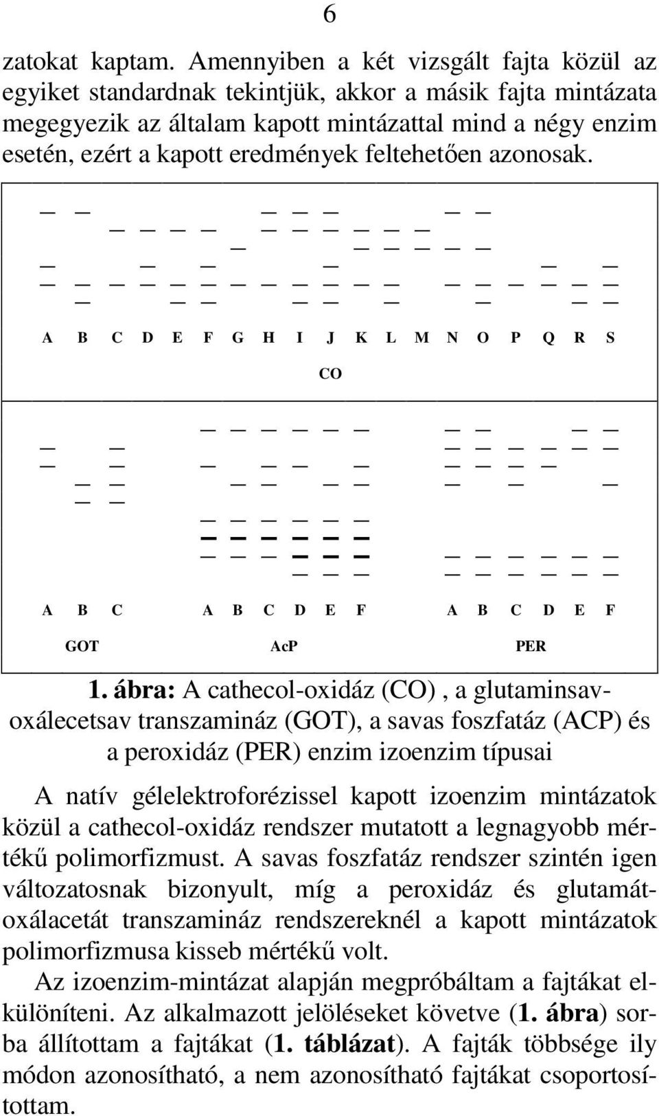 feltehetıen azonosak. A B C D E F G H I J K L M N O P Q R S CO A B C A B C D E F A B C D E F GOT AcP PER 1.