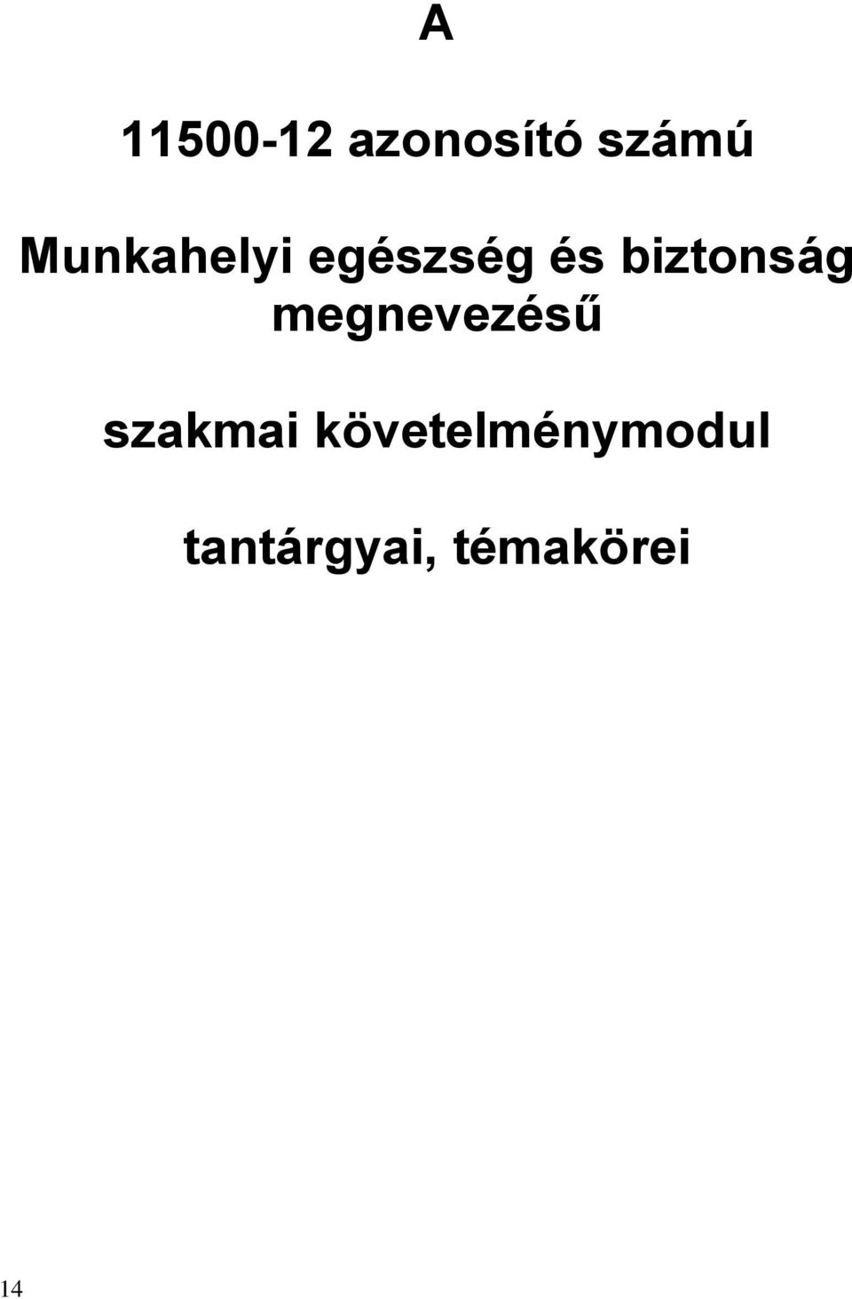 biztonság megnevezésű szakmai