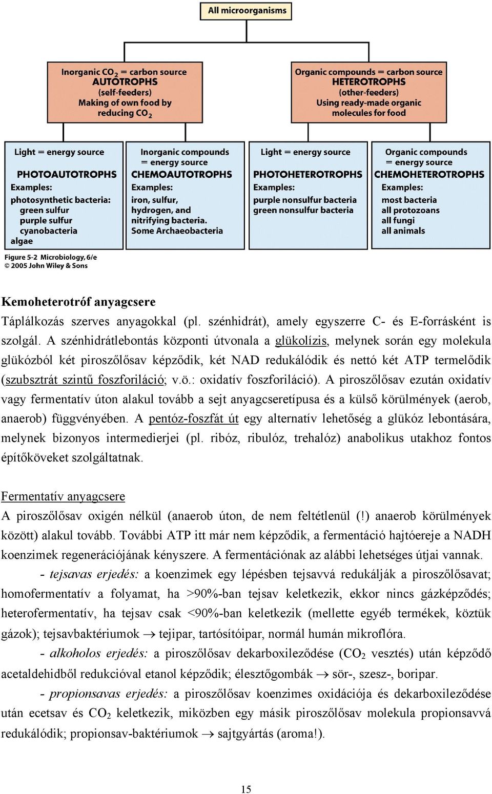 v.ö.: oxidatív foszforiláció). A piroszőlősav ezután oxidatív vagy fermentatív úton alakul tovább a sejt anyagcseretípusa és a külső körülmények (aerob, anaerob) függvényében.