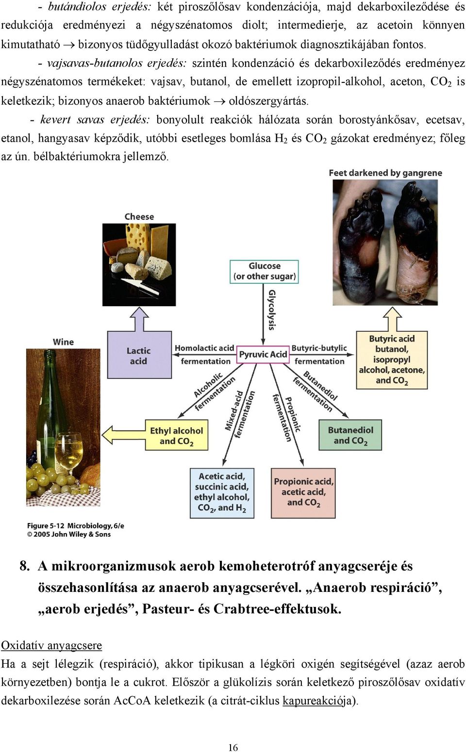 - vajsavas-butanolos erjedés: szintén kondenzáció és dekarboxileződés eredményez négyszénatomos termékeket: vajsav, butanol, de emellett izopropil-alkohol, aceton, CO2 is keletkezik; bizonyos anaerob