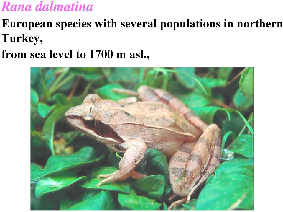 populations in northern