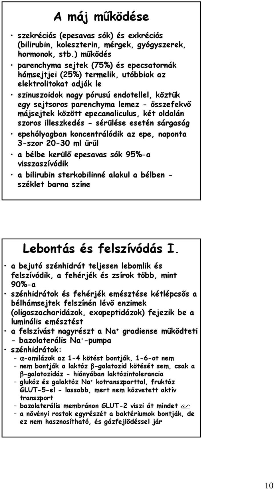 összefekvő májsejtek között epecanaliculus, két oldalán szoros illeszkedés - sérülése esetén sárgaság epehólyagban koncentrálódik az epe, naponta 3-szor 20-30 ml ürül a bélbe kerülő epesavas sók