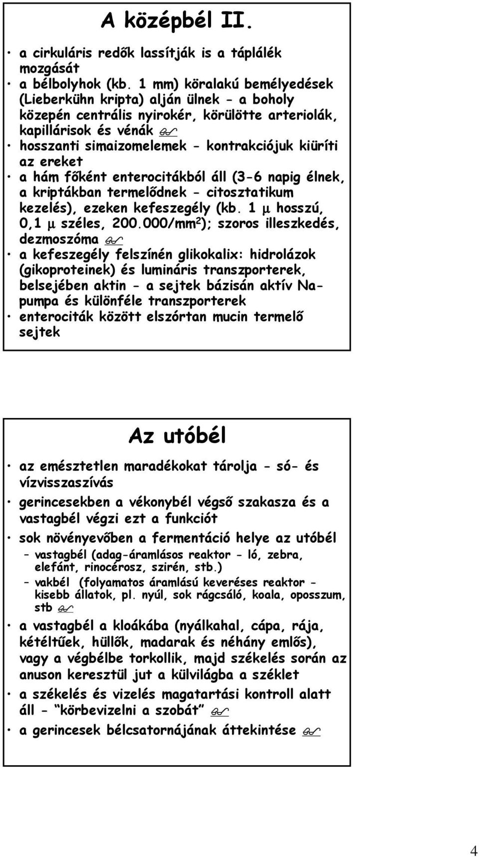 ereket a hám főként enterocitákból áll (3-6 napig élnek, a kriptákban termelődnek - citosztatikum kezelés), ezeken kefeszegély (kb. 1 µ hosszú, 0,1 µ széles, 200.