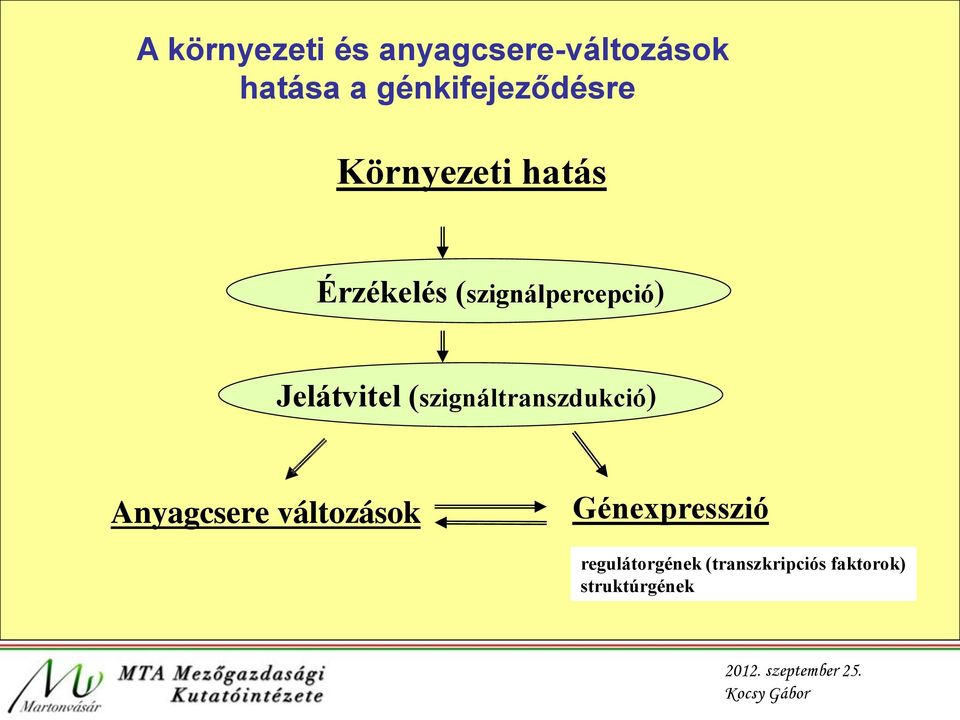 (szignálpercepció) Jelátvitel (szignáltranszdukció)