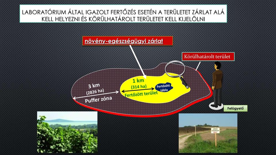 KÖRÜLHATÁROLT TERÜLETET KELL KIJELÖLNI