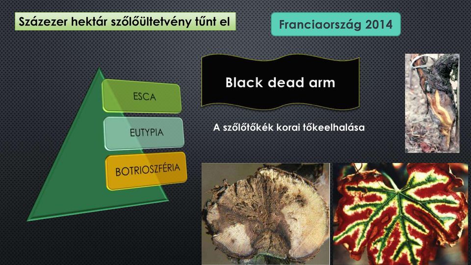 Franciaország 2014 Black