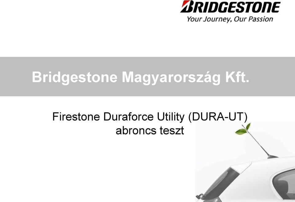 Firestone Duraforce