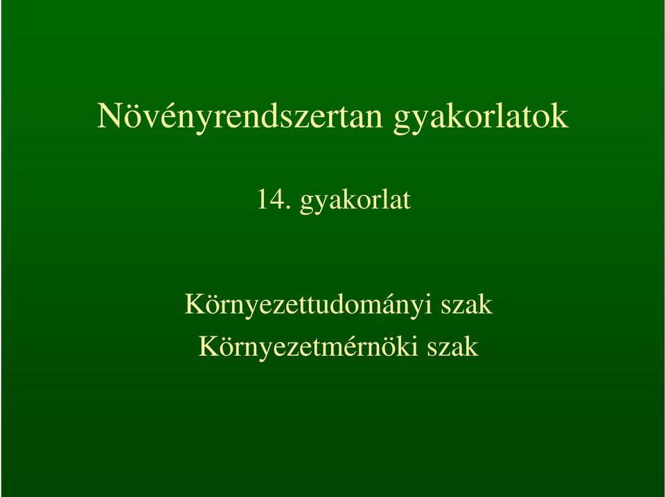 gyakorlat