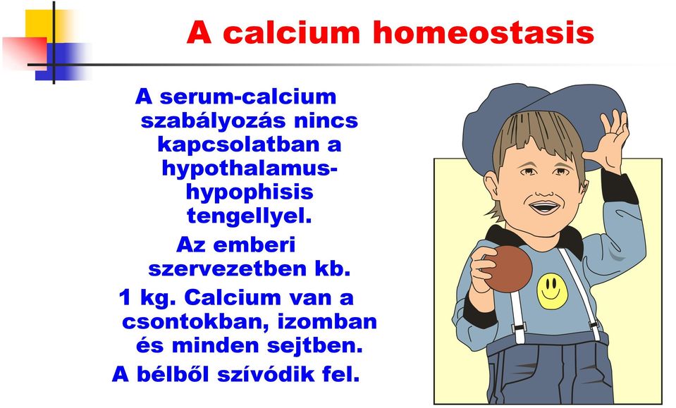 tengellyel. Az emberi szervezetben kb. 1 kg.