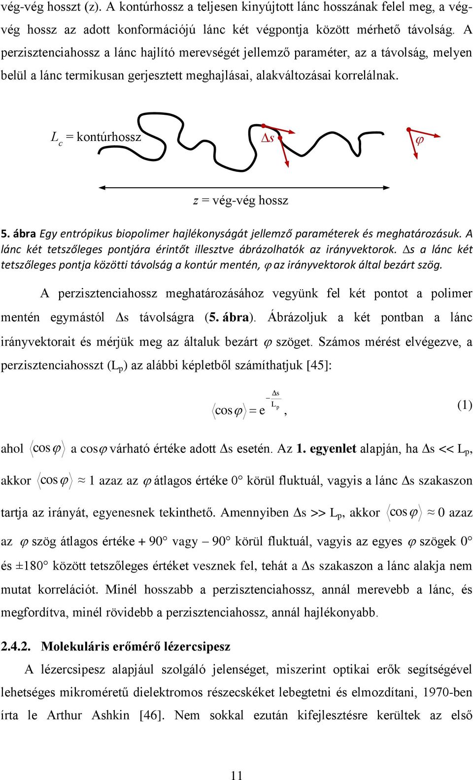 L c = kontúrhossz s z = vég-vég hossz 5. ábra Egy entrópikus biopolimer hajlékonyságát jellemző paraméterek és meghatározásuk.