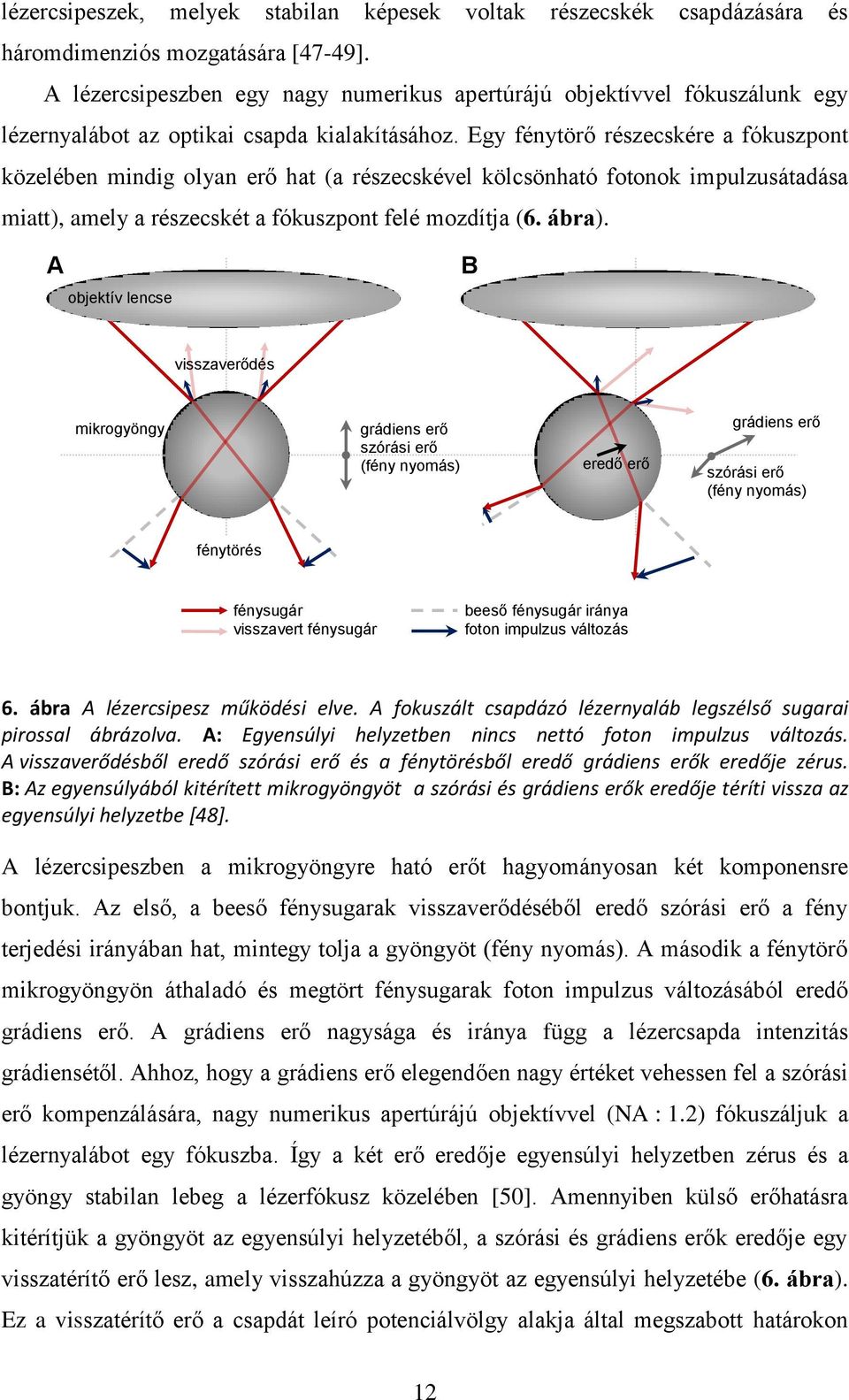 Egy fénytörő részecskére a fókuszpont közelében mindig olyan erő hat (a részecskével kölcsönható fotonok impulzusátadása miatt), amely a részecskét a fókuszpont felé mozdítja (6. ábra).