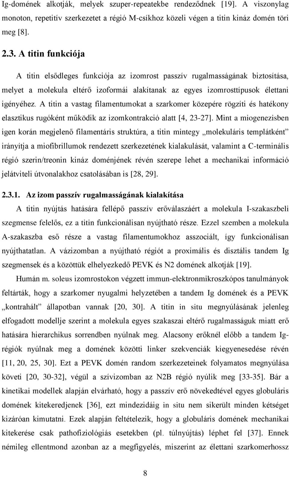 A titin a vastag filamentumokat a szarkomer közepére rögzíti és hatékony elasztikus rugóként működik az izomkontrakció alatt [4, 23-27].