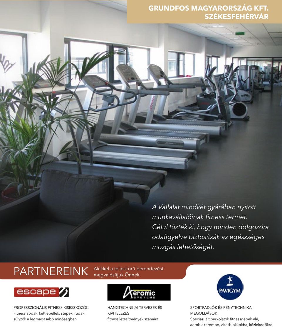 Partnereink Akikkel a teljeskörű berendezést megvalósítjuk Önnek PROFESSZIONÁLIS FITNESS KISESZKÖZÖK Fitnesslabdák, kettlebellek, stepek, rudak,