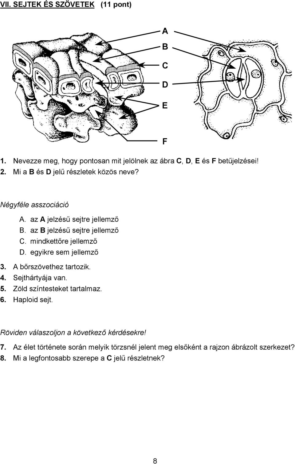 egyikre sem jellemző 3. bőrszövethez tartozik. 4. Sejthártyája van. 5. Zöld színtesteket tartalmaz. 6. Haploid sejt.