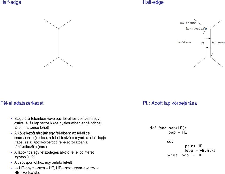 A következőt tároljuk egy fél-élben: az fél-él cél csúcspontja (vertex), a fél-él testvére (sym), a fél-él lapja (face) és a lapot körbefogó