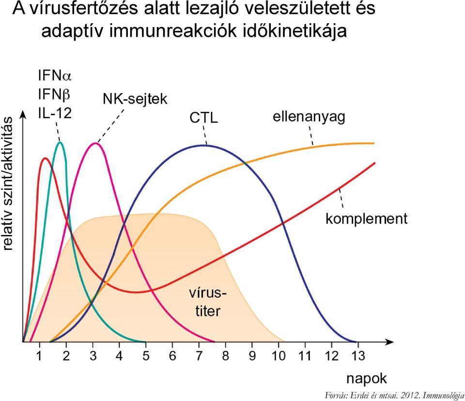 immunreakciók időkinetikája