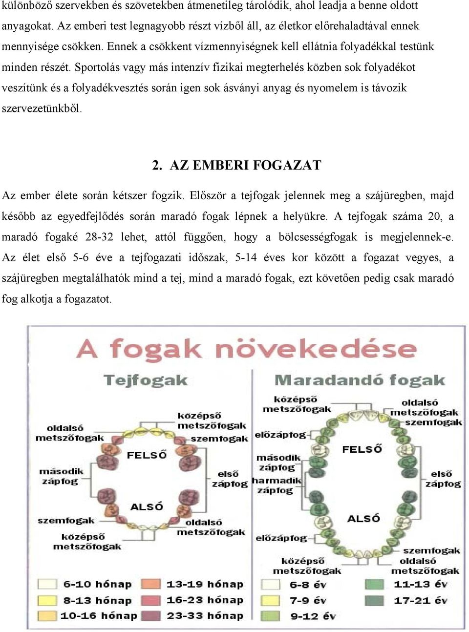 Sportolás vagy más intenzív fizikai megterhelés közben sok folyadékot veszítünk és a folyadékvesztés során igen sok ásványi anyag és nyomelem is távozik szervezetünkből. 2.