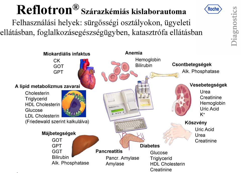 Triglycerid HDL Cholesterin Glucose LDL Cholesterin (Friedewald szerint kalkulálva) Májbetegségek GOT GPT GGT Bilirubin Alk Phosphatase Diabetes