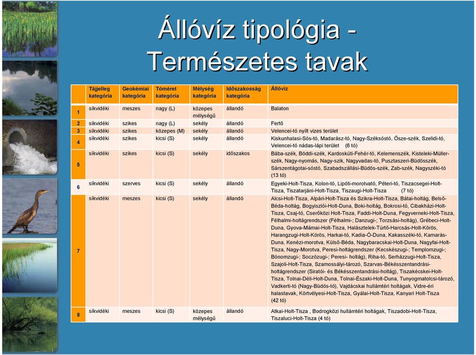 Madarász-tó, Nagy-Széksóstó, Ősze-szék, Szelidi-tó, Velencei-tó nádas-lápi terület (6 tó) 5 6 7 síkvidéki szikes kicsi (S) sekély időszakos Bába-szék, Böddi-szék, Kardoskúti-Fehér-tó, Kelemenszék,