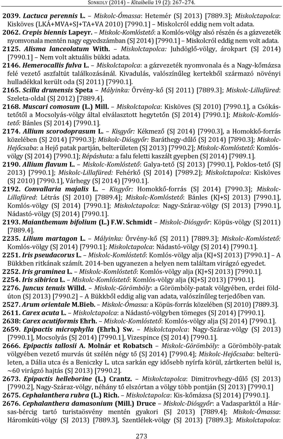 Miskolctapolca: Juhdöglő-völgy, árokpart (SJ 2014) [7990.1] Nem volt aktuális bükki adata. 2146. Hemerocallis fulva L.