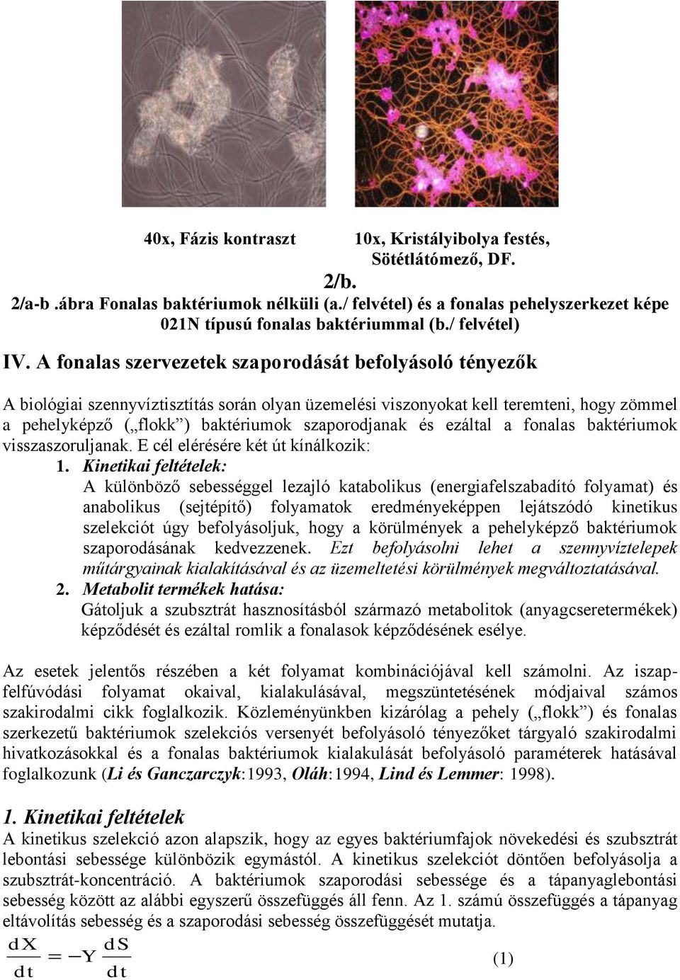 A fonalas szervezetek szaporodását befolyásoló tényezők A biológiai szennyvíztisztítás során olyan üzemelési viszonyokat kell teremteni, hogy zömmel a pehelyképző ( flokk ) baktériumok szaporodjanak