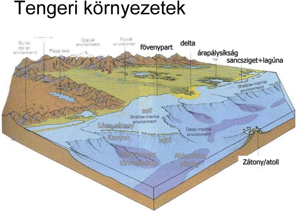 Sánc-zátony Kanyon lejtő Mélytengeri