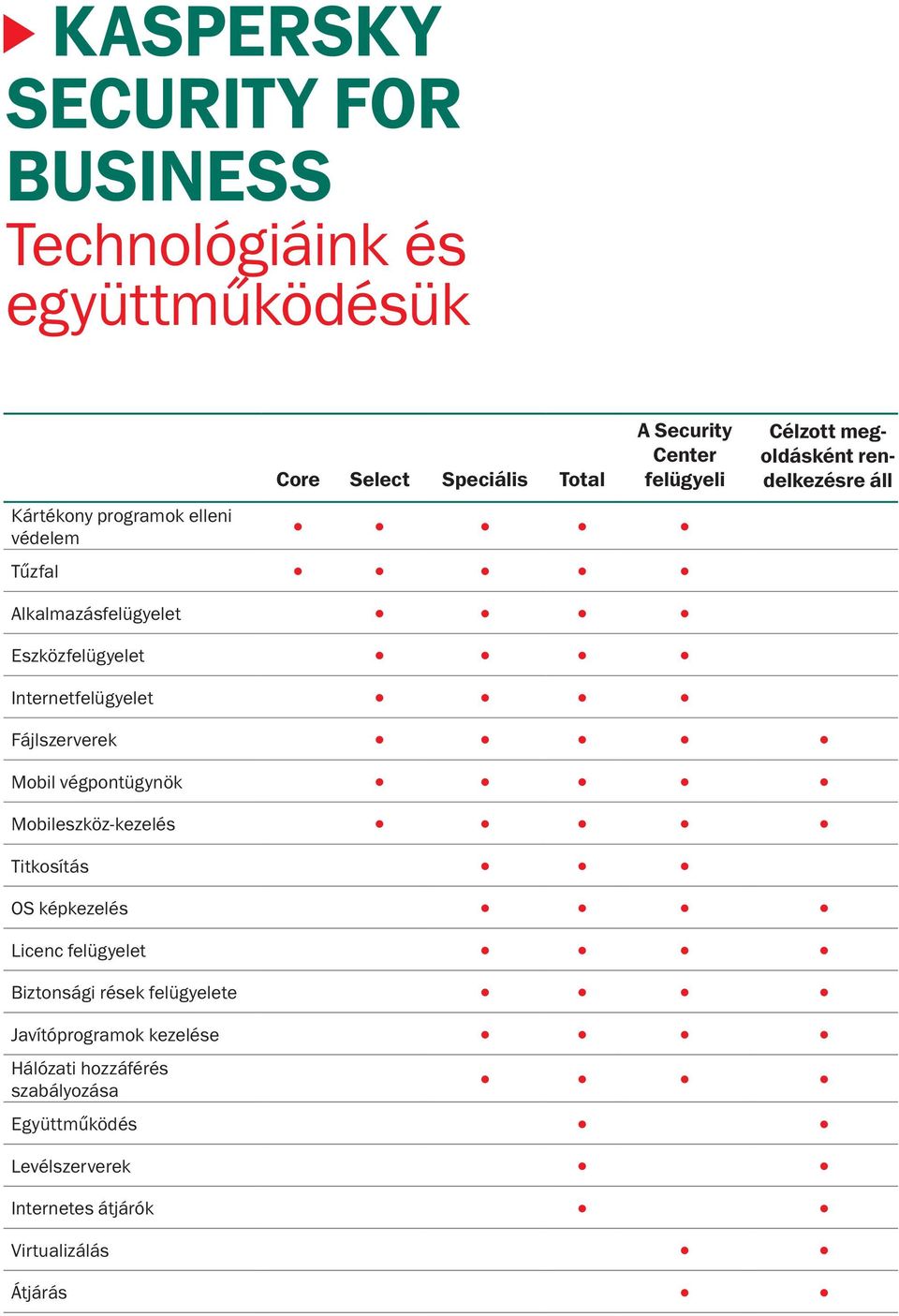 Internetfelügyelet Fájlszerverek Mobil végpontügynök Mobileszköz-kezelés Titkosítás OS képkezelés Licenc felügyelet