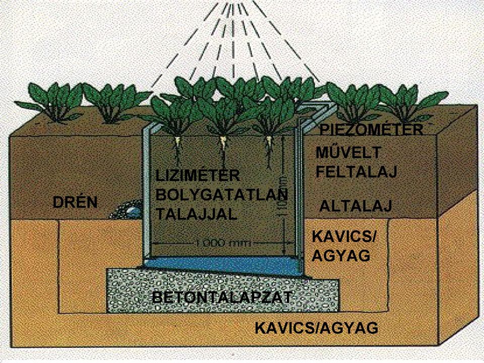 FELTALAJ ALTALAJ KAVICS/